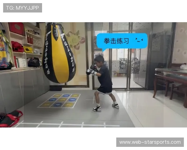 国际拳击选手职业生涯早期规划的教育课程框架，职业拳击发展史